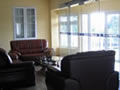 Motorised automatic glass door